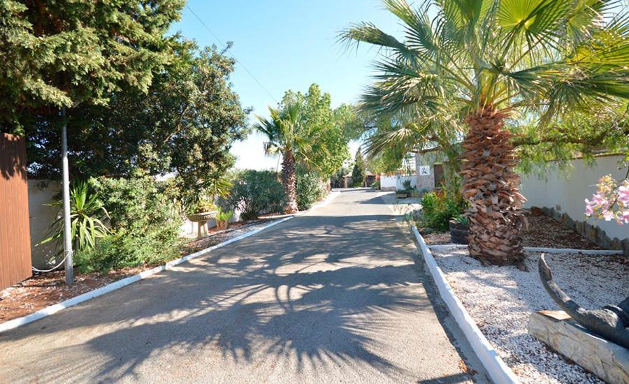 Casas Paqui Y Pablo Con Piscina Compartida En Conil Villa Conil De La Frontera Dış mekan fotoğraf